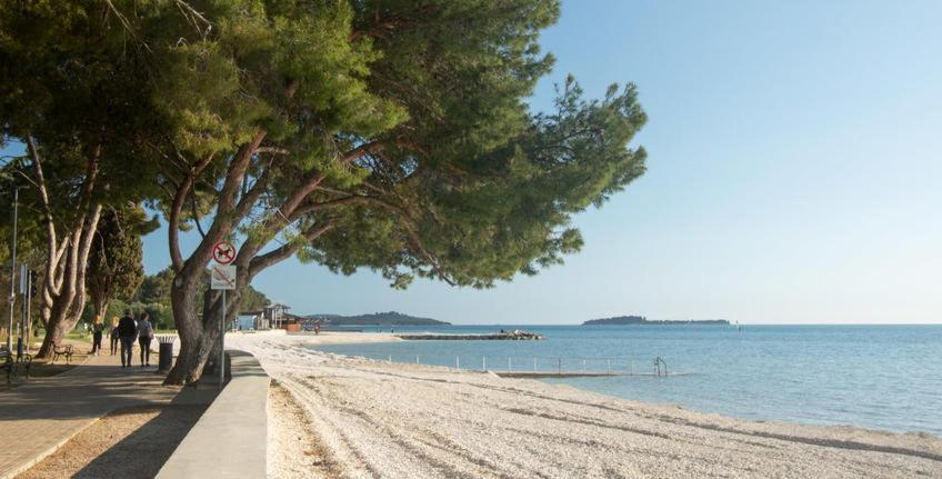 Apartman Dobric Fažana Esterno foto